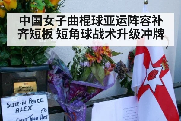 中国女子曲棍球亚运阵容补齐短板 短角球战术升级冲牌
